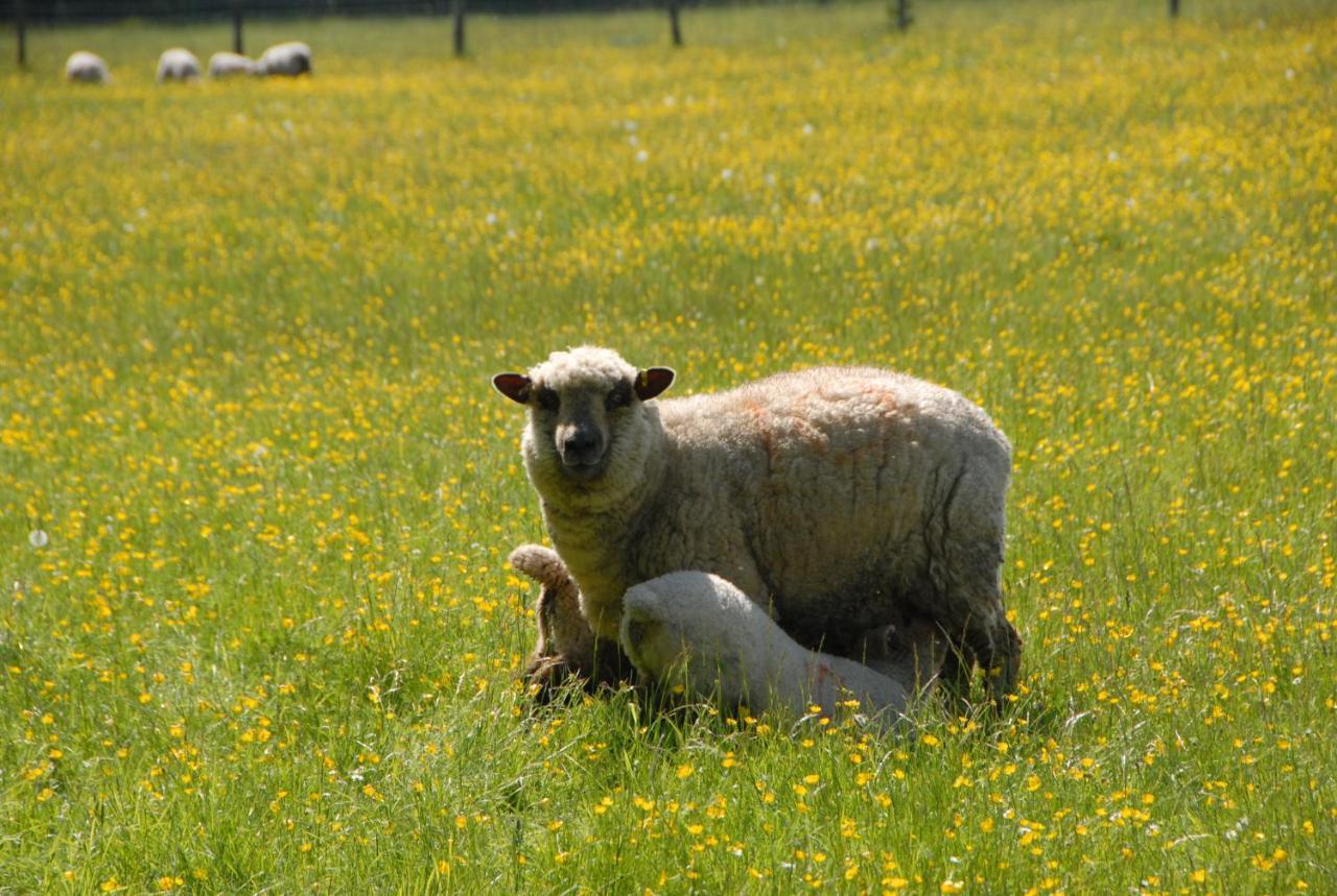 Banbury Hill Farm Panzió Charlbury Kültér fotó