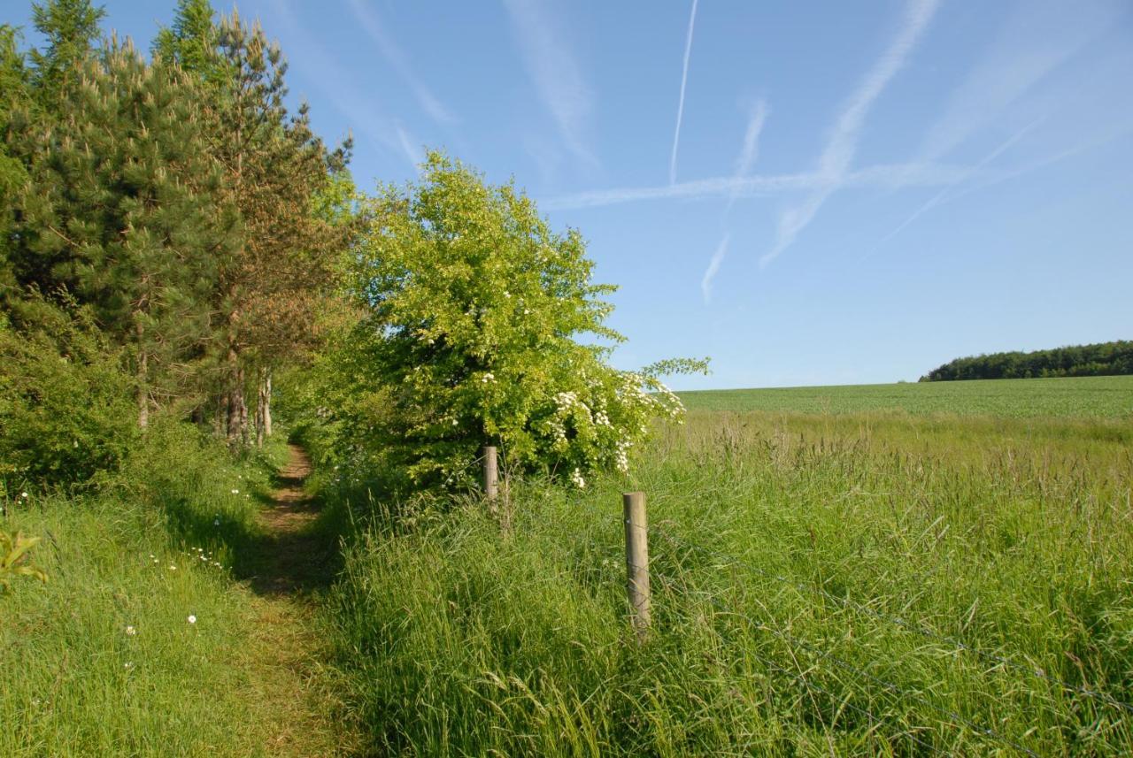 Banbury Hill Farm Panzió Charlbury Kültér fotó