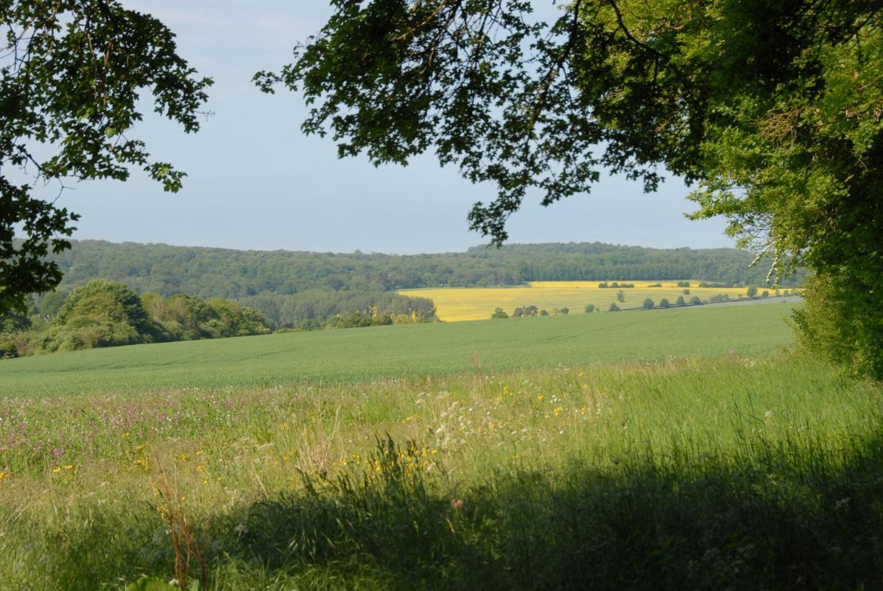 Banbury Hill Farm Panzió Charlbury Kültér fotó