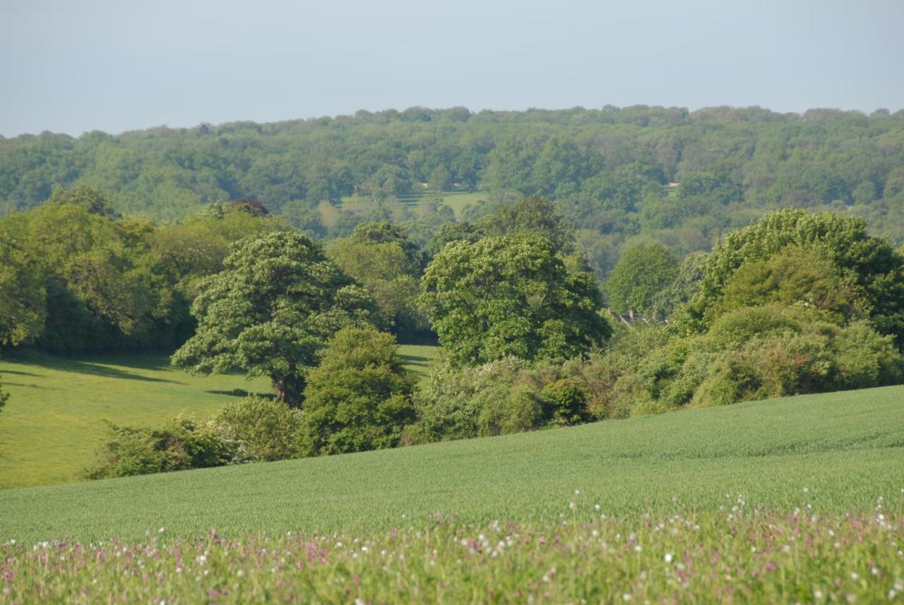 Banbury Hill Farm Panzió Charlbury Kültér fotó